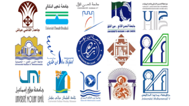 الإجازة المهنية