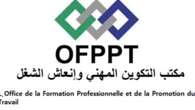 التكوين المهني