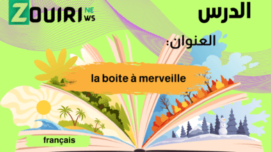 la boite à merveille pdf