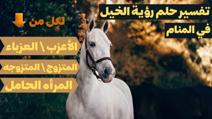 تفسير حلم ركوب الخيل