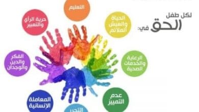 نظام حماية الطفل