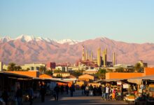 المشروع المربح في المغرب